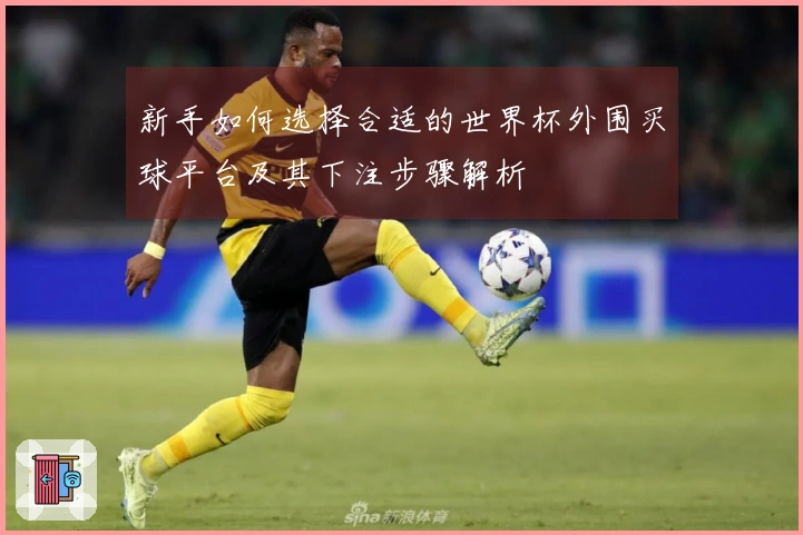 新手如何选择合适的世界杯外围买球平台及其下注步骤解析