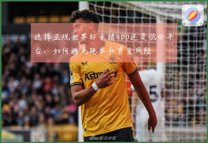 选择正规世界杯竞猜app还是低价平台，如何避免跑单和资金风险